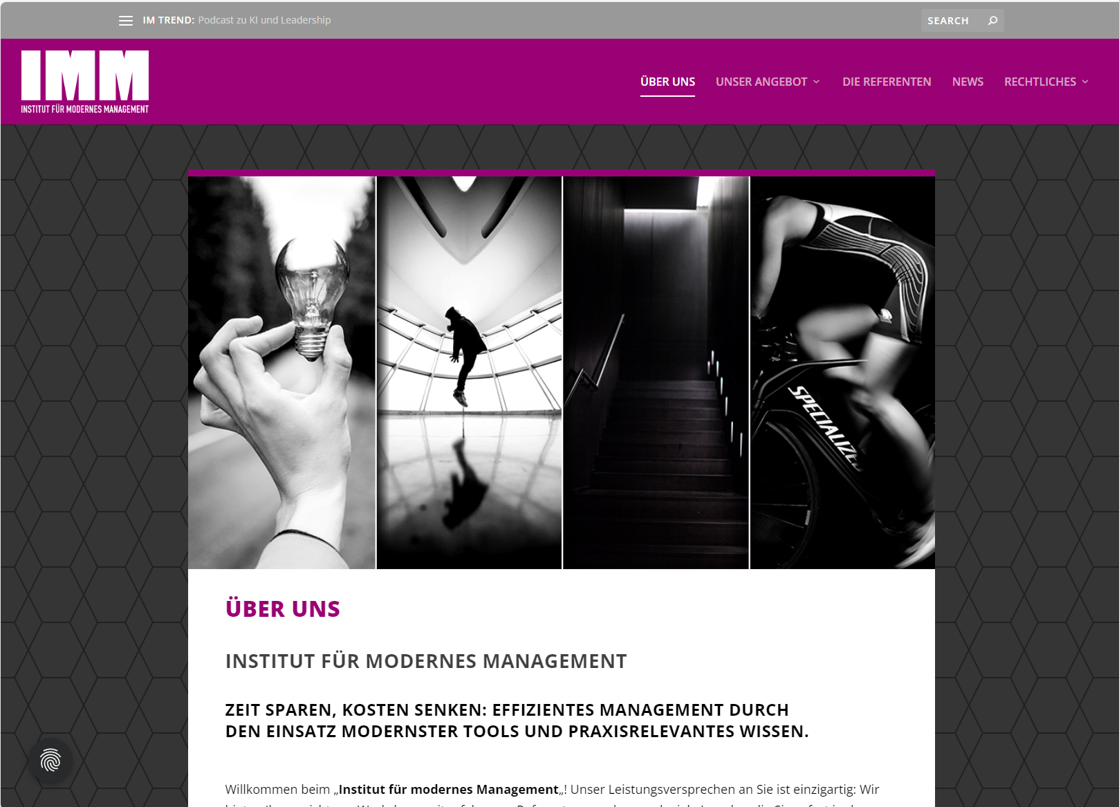 Partner Und Trainer Im Institut Für Modernes Management